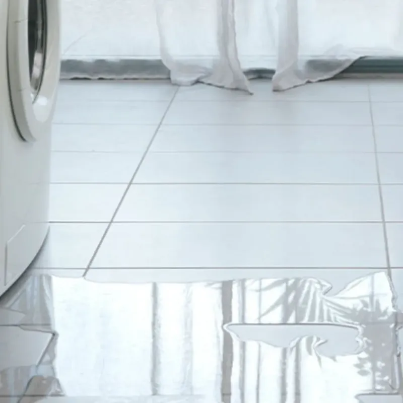 Appliance Leak Cleanup in Eastpointe, MI