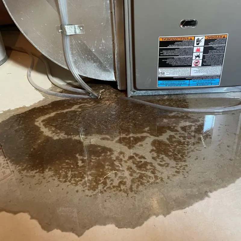 Pipe Burst and Leak Restoration in Eastpointe, MI